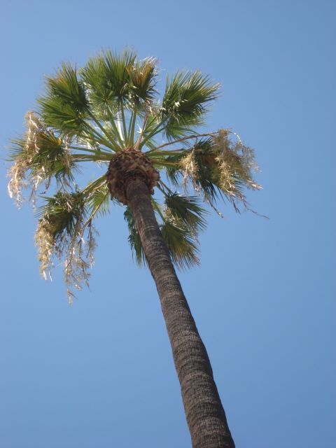 gal/2007 California/picture_234.jpg